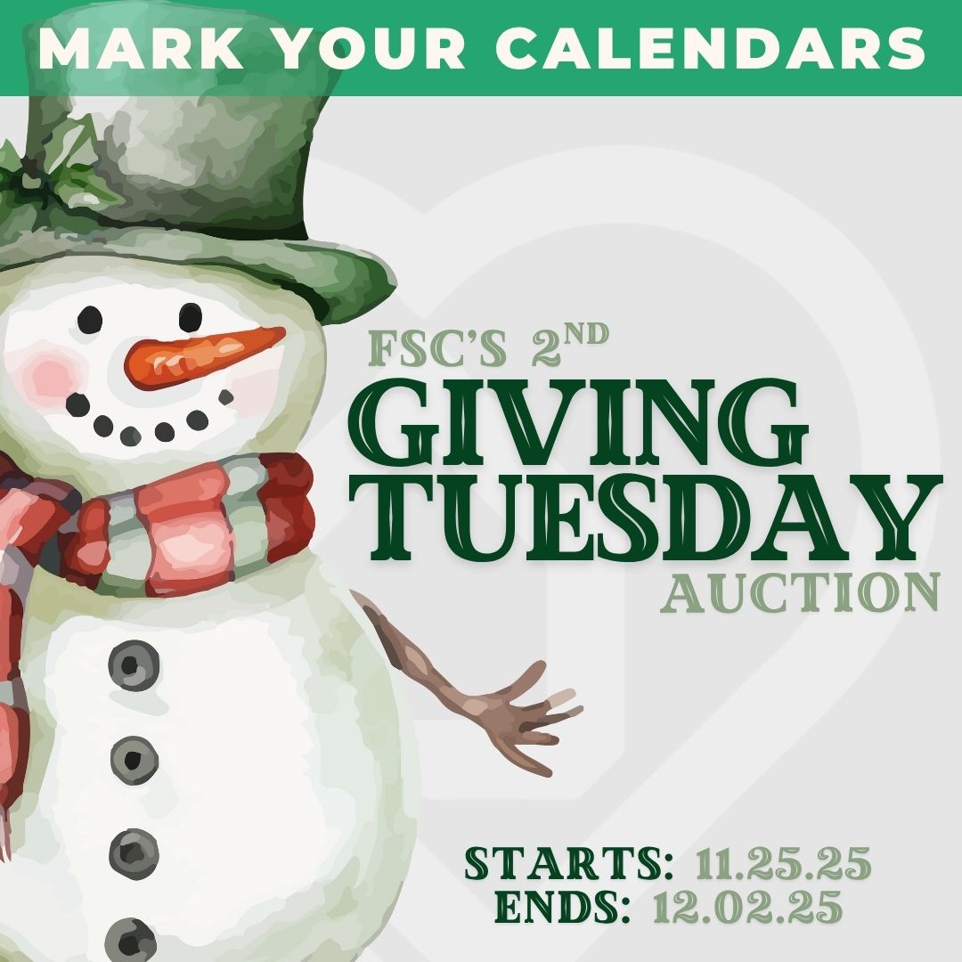 auction2